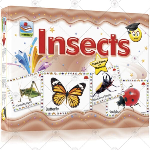 Flash Cards Insects - Image 2