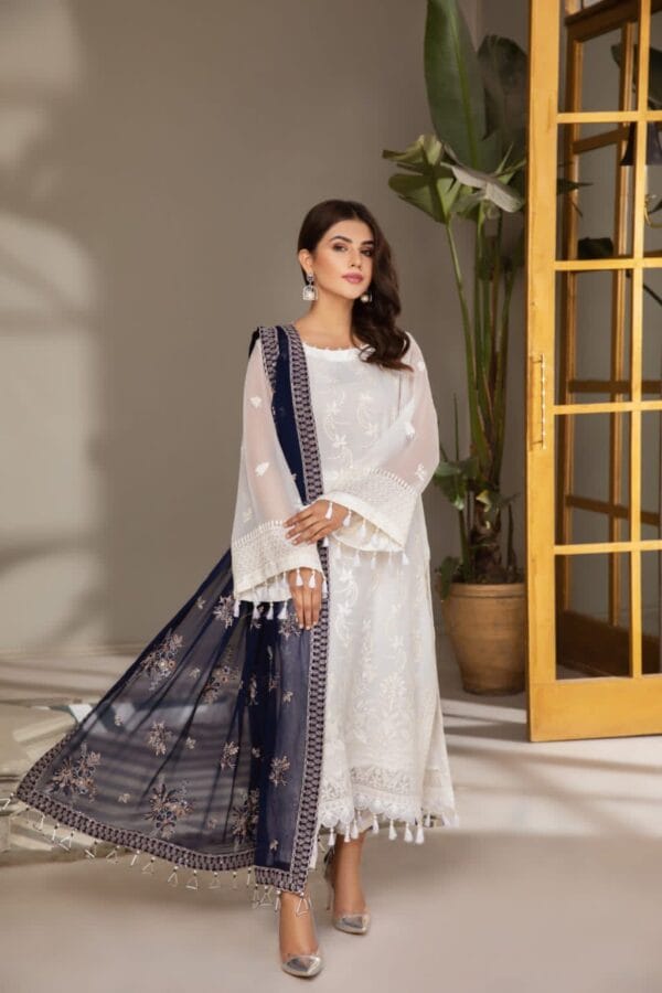 Alizeh's Chiffon
